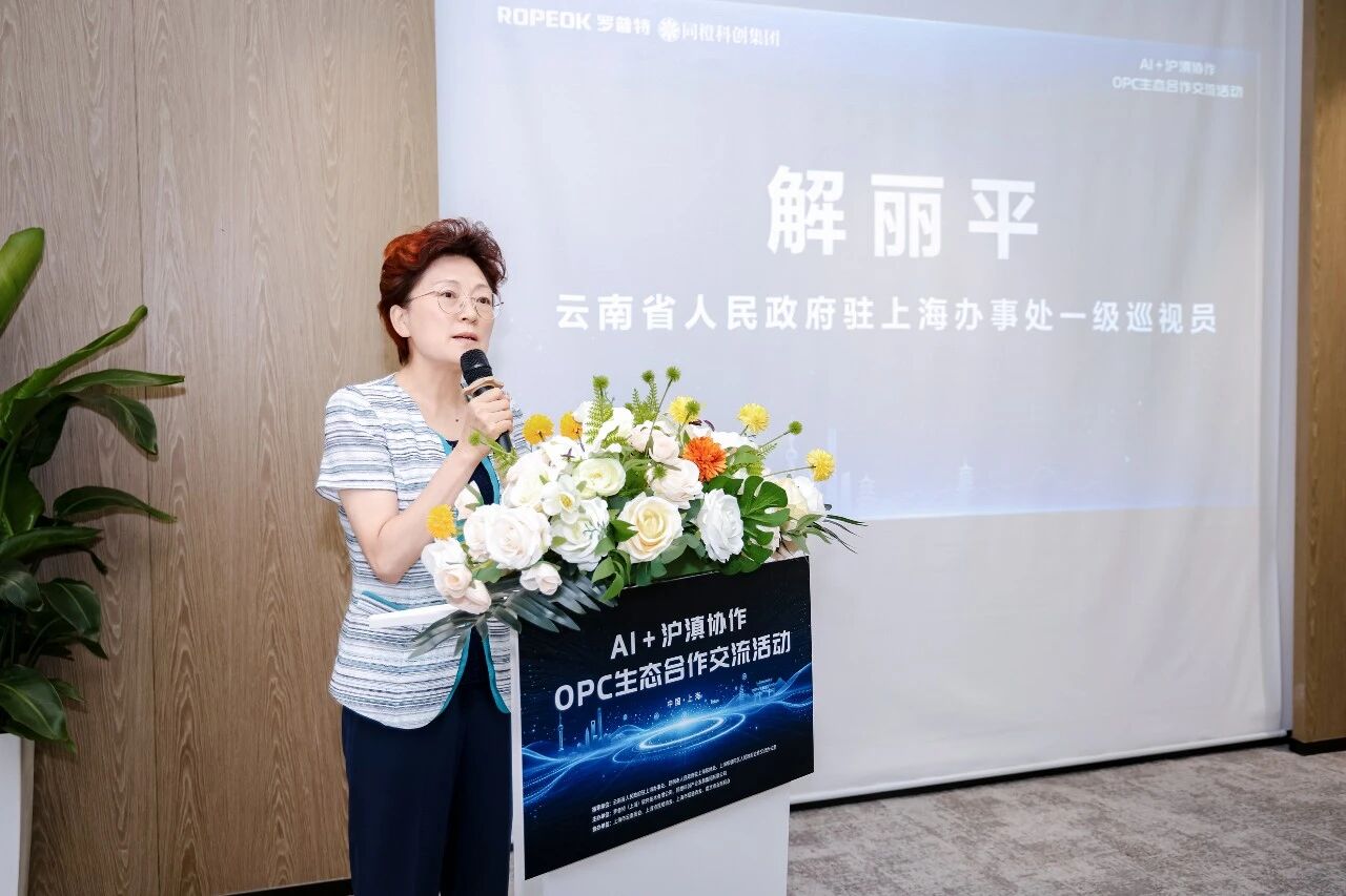 https://www.opcstore.com/opc/20260612/ea933d7e7f3b31857108c95033d34e13.jpg